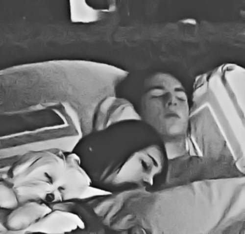The hottest events of our favorite couple. the more false truths about Niley will be posted here. You can endure it? .. We hope so. Whatever. all are wellcomed.