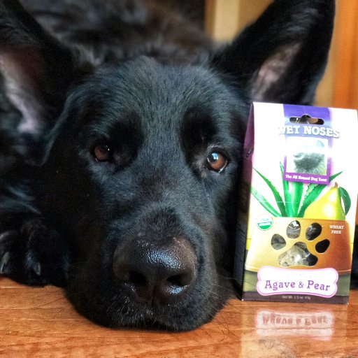 If you wouldn't eat it, don't feed it to your dog! We make 100% organic, Non GMO, human grade dog treats in a variety of delicious flavors.