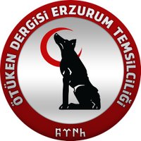 Ötüken Erzurum (@otukenerzurum) Twitter profile photo