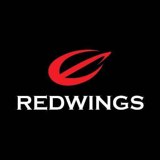 Redwings es una empresa fundada en 2007 con el objetivo de contar con el mejor personal humano necesario para cumplir las Normas Mexicanas y operar su aeronave.