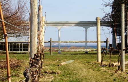 Theoldfield's profile picture. A friendly, peaceful and sustainable North Fork, family run vineyard and winery.