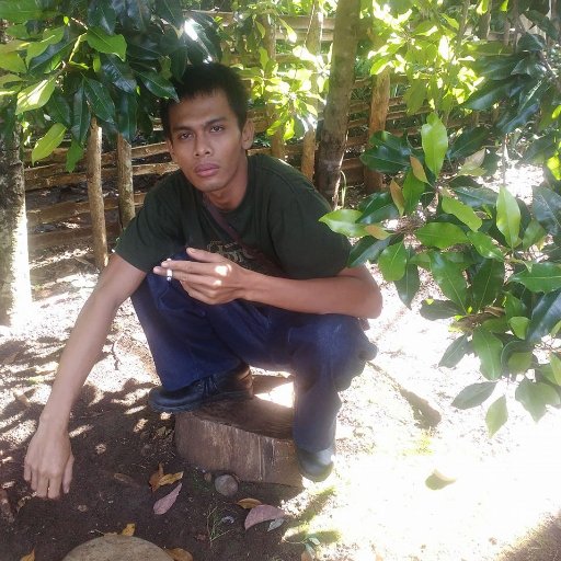 ARIF162018's profile picture. jawa timur jawa tengah jawa barat se umur2 diam dirumah pasti melarat karena tak mau usaha