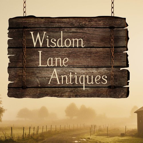 I've been going to auctions, antique malls, flea markets etc. since I could walk.  My lifelong love of anything old is now my full time job.