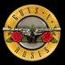Guns N' Roses Fanatic (@paradisecityfan) Twitter profile photo