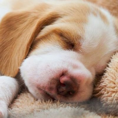 sandrix112's profile picture. 