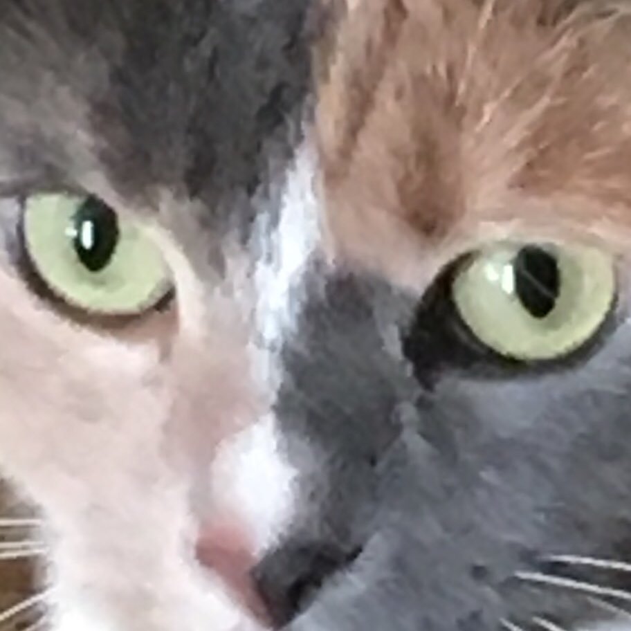 Chair0809's profile picture. sleeping is life 😴 y life so hard?