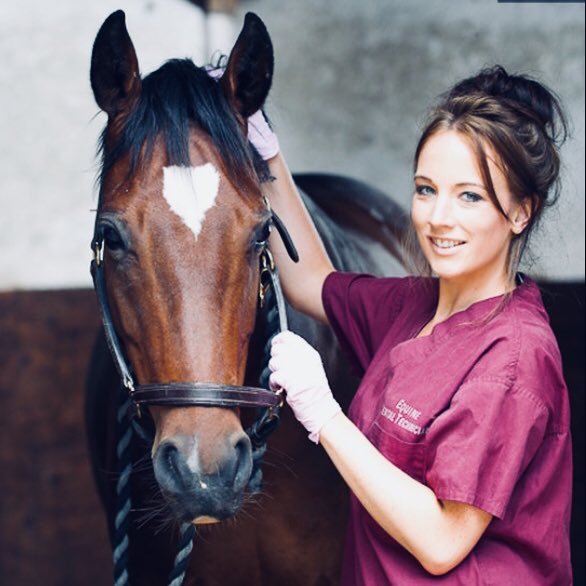 Equine Dentist • Eventing Club • Vet Chat • Owner • Breeder • Retraining of racehorses Centre • Horse-led coaching • sausage dog collector 🐶 #TeamGrey
