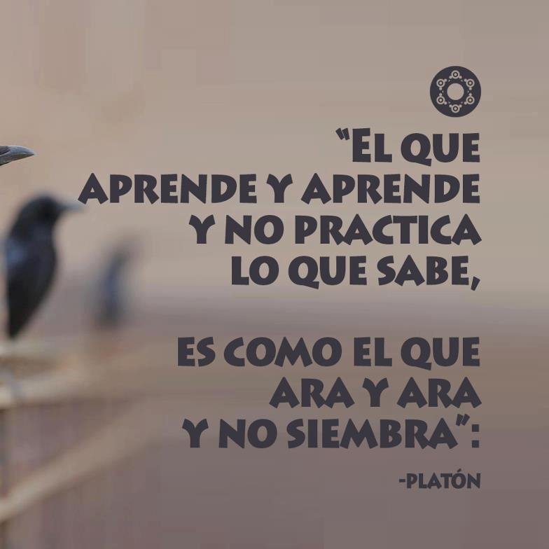 luishuingo22's profile picture. 😊😊😘🐱