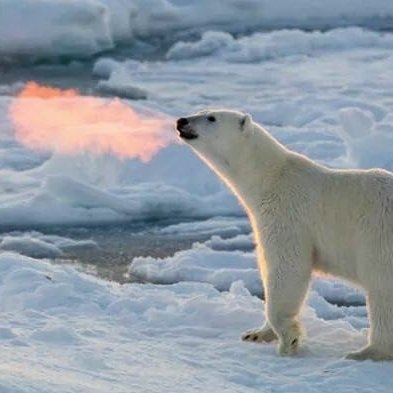 SaiTheSpy's profile picture. Digital Diva. Reckless Motherhood. Marketing Genius. Nerdy Chickness.