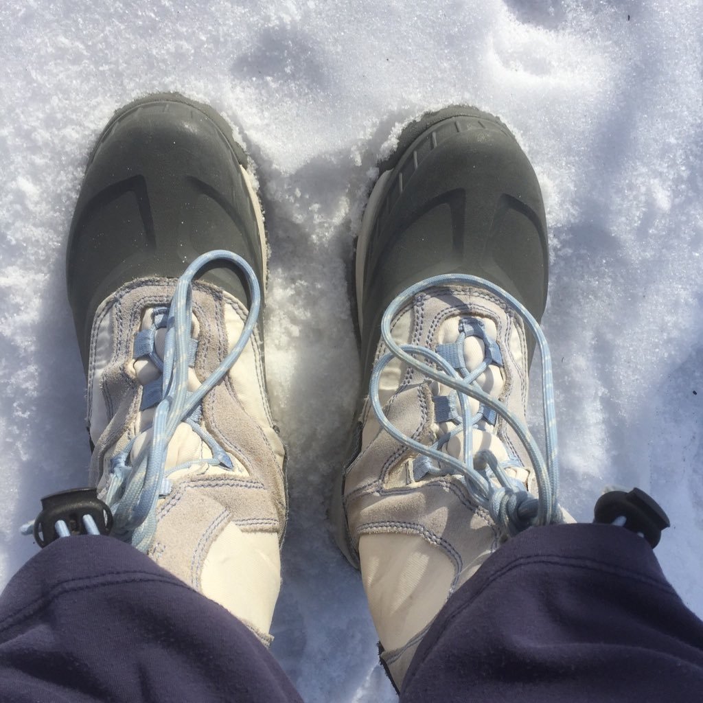 jselyons's profile picture. Mum, wife, sister, aunt, friend, neighbour.