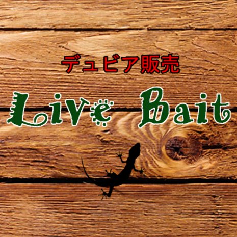 デュビア販売　LiveBait 公式アカウントです。
Live Baitでは爬虫類や熱帯魚、大型から小型まで幅広いペットの活き餌として活用されている“デュビア”を専門に販売させて頂いております。
ぜひホームページも見にきてください＾＾
お問い合わせはLINE＠にてline://ti/p/@dsm6296r