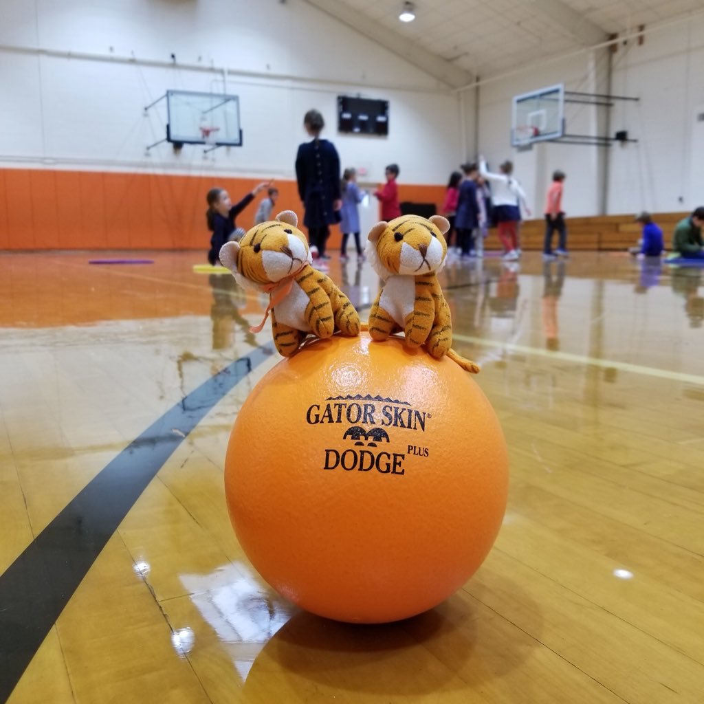 Stripes and Whiskers post with help from their friends in the Lower School. Each week they visit a new class, and they will document their adventures here!