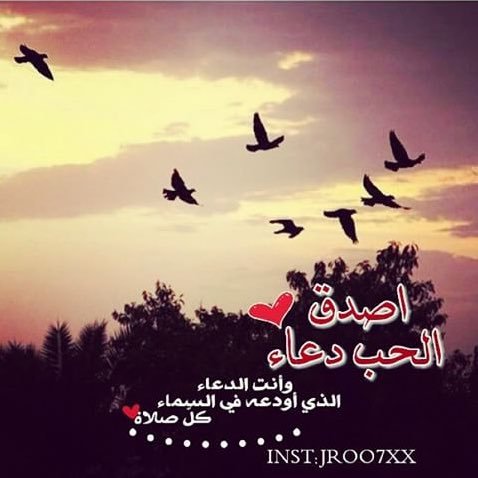 7aneen1158's profile picture. أمنت بأن الحب دعاء وخير فأحبتت أن أنشي هذا الحساب لكي يكون لك زاد في الدنيا والأخره