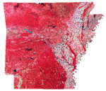 BurnNoticeArk's profile picture. Unabashedly conservative. Deal with it.