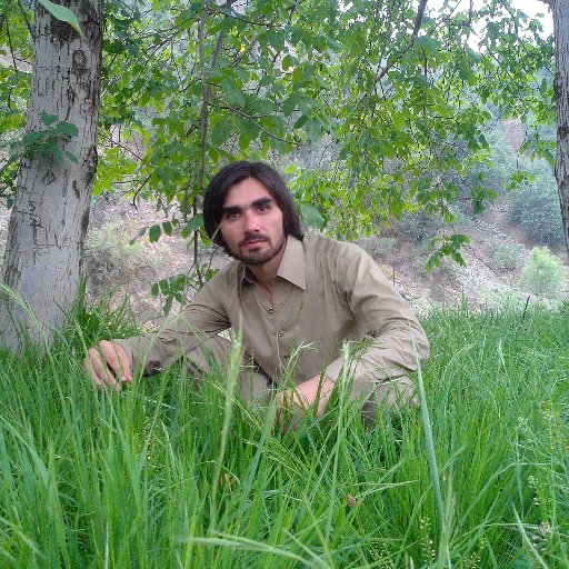 shahid786664's profile picture. 