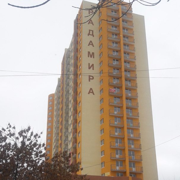 dimitrovaDom14's profile picture. 