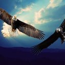 aorozco (@alexorozco003) Twitter
