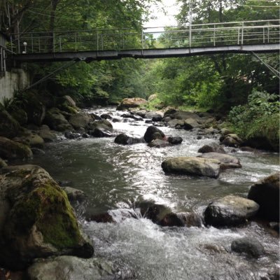 FfS4kVi2Cz9J2JY's profile picture. الأخبار الأخبار المملكة العربية السعودية فنانون ومشاهير