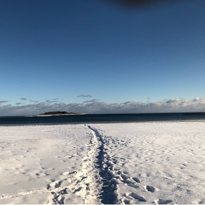 ErinQTwombly's profile picture. International School Principal | Learner | Servant Leader | Candidate for Ed.D.