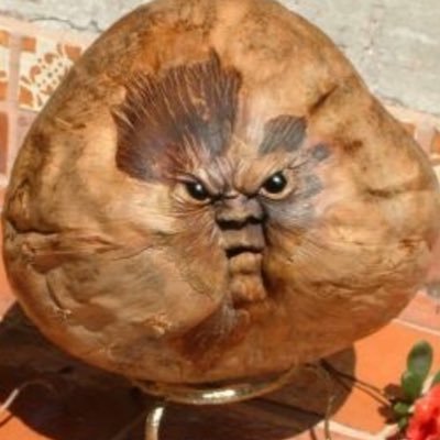 Fake_coconut's profile picture. Tickle my pickle