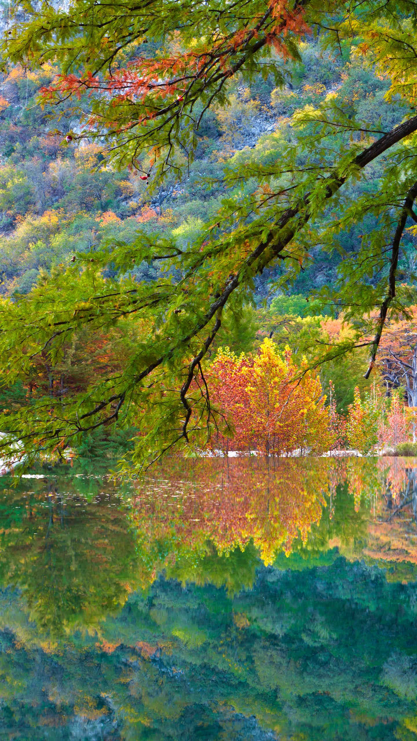 PeterMaria9's profile picture. 