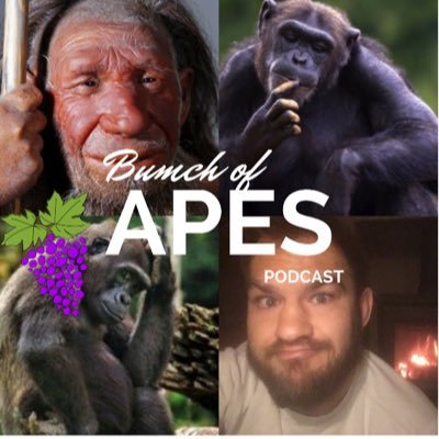 A podcast covering an uneducated mans journey to gain expertise in Human Prehistory. A funny, easy going way to learn more about our ancient past.