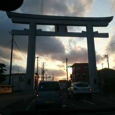 大きめの鳥居さんのプロフィール画像
