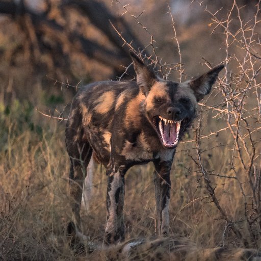 KalamakiBob's profile picture. Wiganer born and bred. Travelled but always came home. Married and love it everyday! Took the easy route out and joined the Civil Service and then left