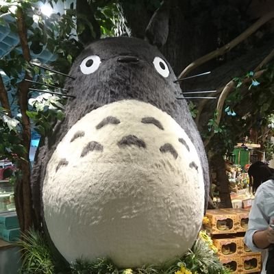 Fasaii_Sawaros's profile picture. 🤍 The Rampage  
💚 Psychic Fever
🌊 NexT1DE