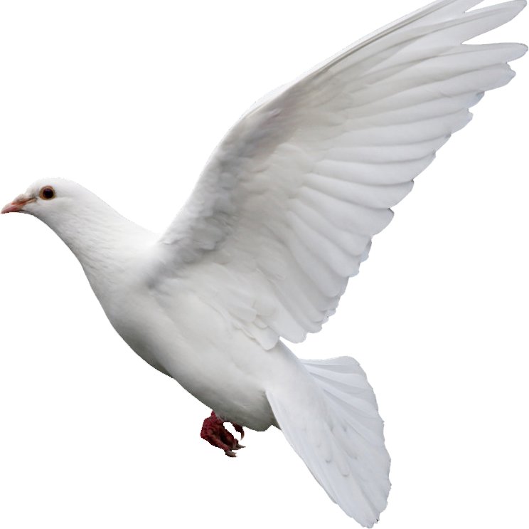 xiefugui12's profile picture. 