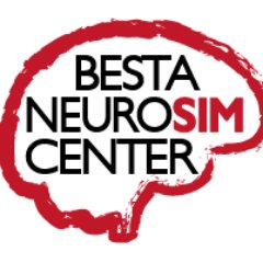 1st Center for Training & Neurosurgical Simulation in Europe. Neurosurgeons rehearse surgeries in 3D virtual reality. Innovative Research, Excellence in Surgery