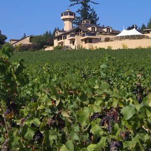 News, Updates, and Information about Willamette Valley Vineyards. Very unofficial. Very enthusiastic.