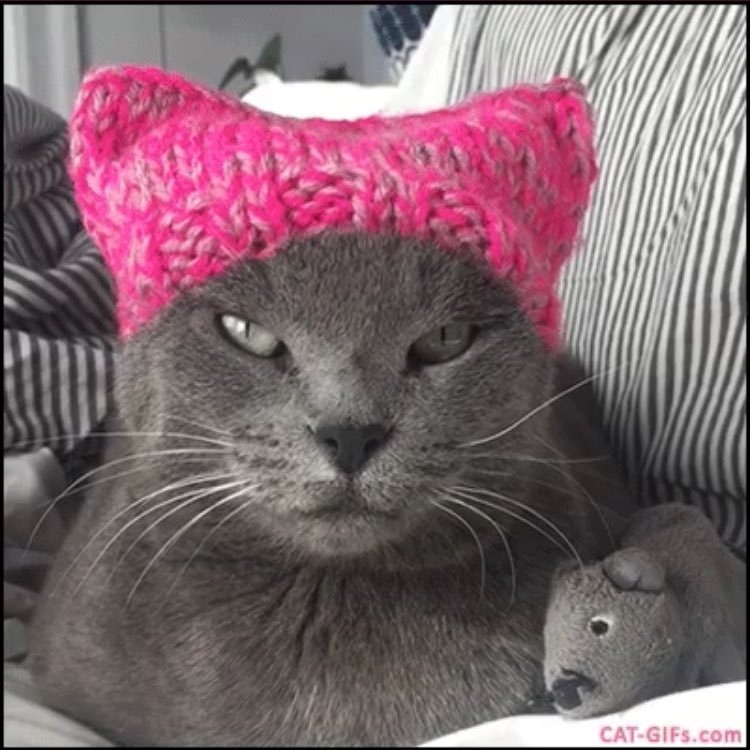 #Resist #FBR - Bringing the resistance local. Fan of Los Gatos Ca - #TheCats - Not an actual Cat, not actually City of #LosGatos