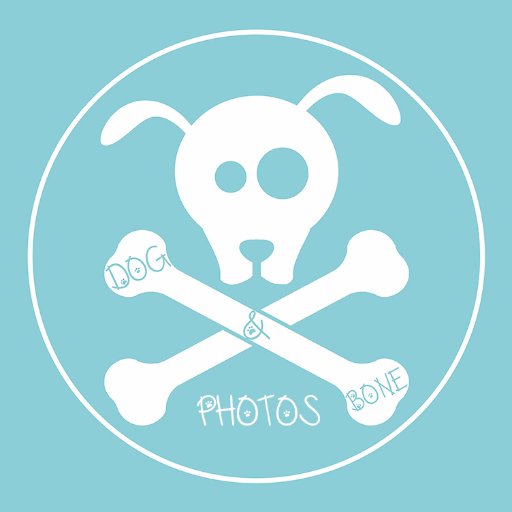 🐾 Pet portrait photographer,creating fun portraits that capture the love, fun and whimsy of your dog.🐶 Owner of 2 Shih Tzus Barney & Lola
Run by Nick Petrides