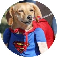 gepeto (@nasciviciado) 's Twitter Profile Photo gepeto (@nasciviciado) 's Twitter Profile Photo