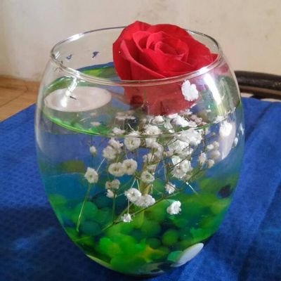 AurelioPech's profile picture. listo