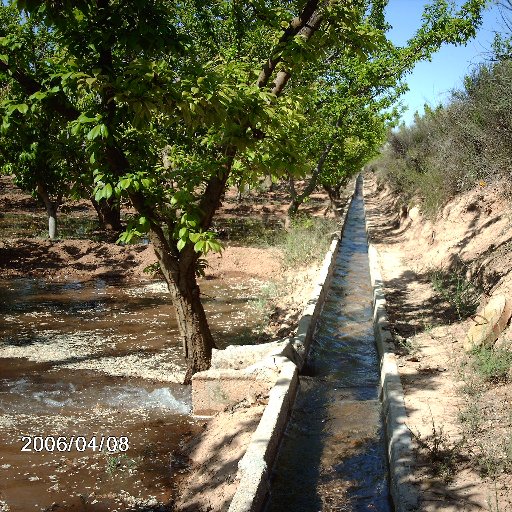 tierracomida's profile picture. Hago que de la tierra salga comida.