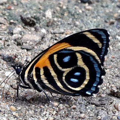 Orange Travel Ecuador, es una agencia de viajes con profesionales dedicados al cuidado de todas sus necesidades. Contamos con un personal calificado.