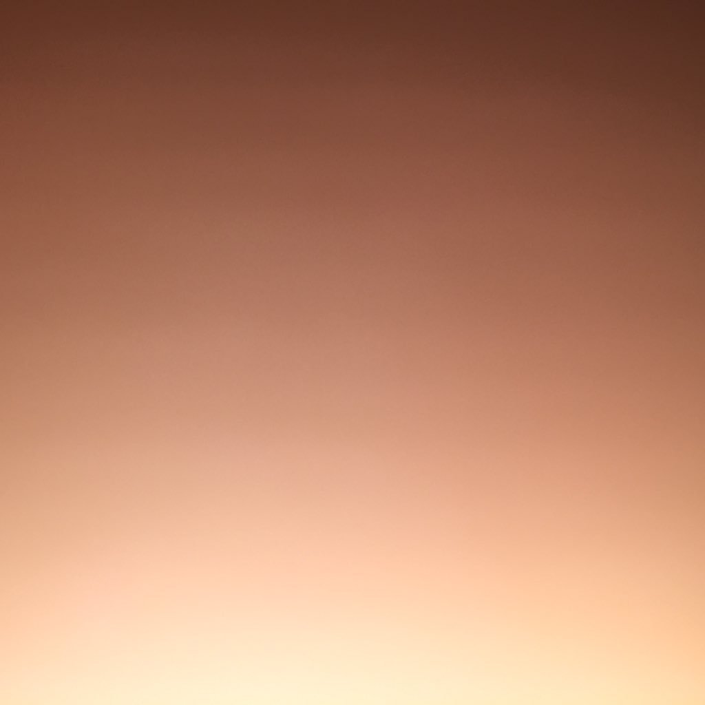 AndresJaviex's profile picture. 