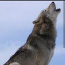 Tabatha Ward - @tward75 - Twitter