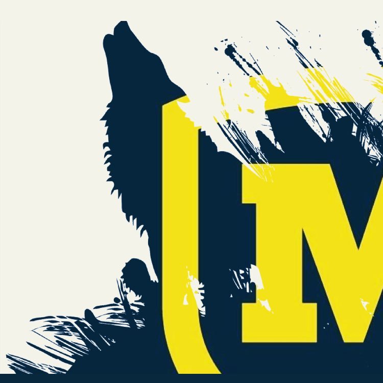 MoellerStrength Profile Picture