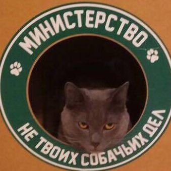 ys0_srs's profile picture. 