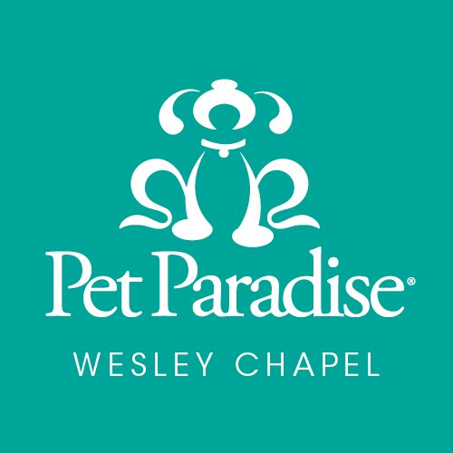 pprwesleychapel's profile picture. Pet Paradise is a pet boarding & daycamp resort committed to providing a safe, clean and fun place for your pet!