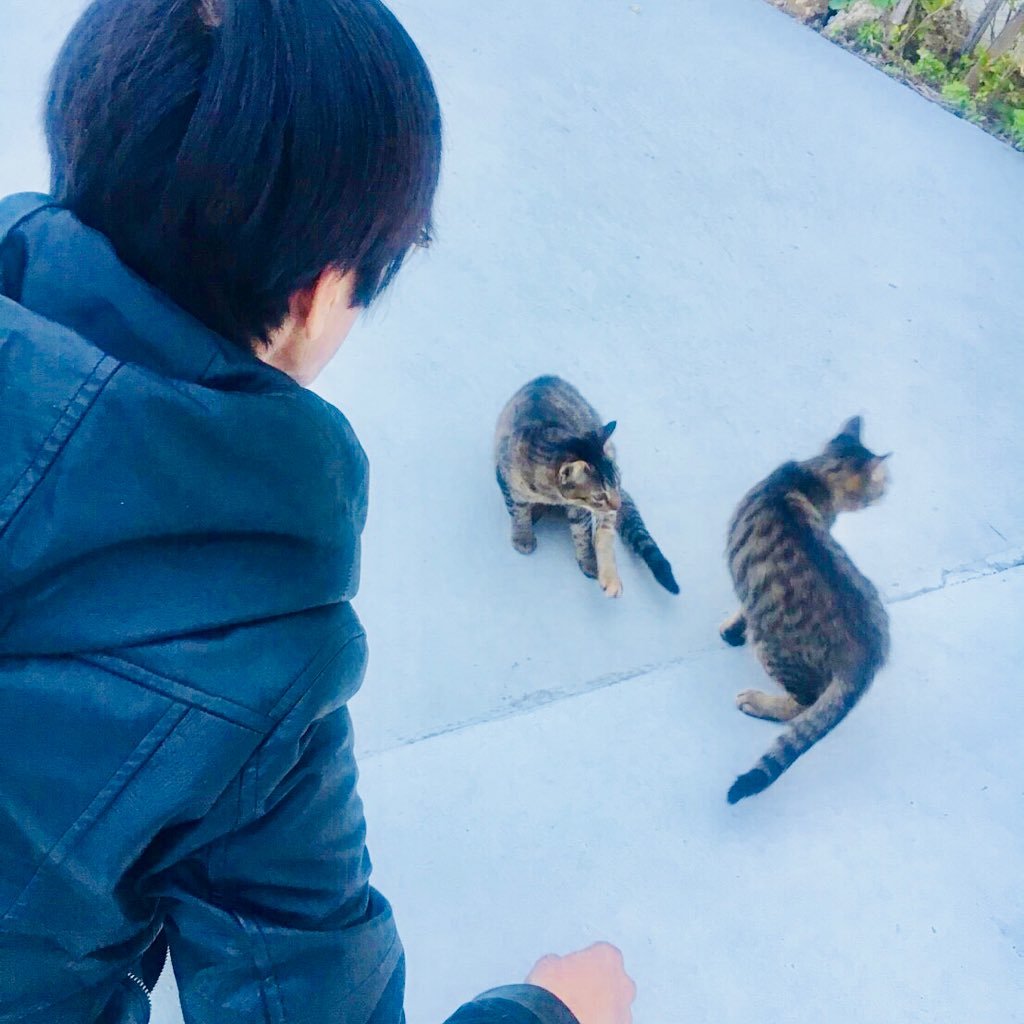 wJa3d2CenDhuTZZ's profile picture. 森林率84%と言う恵まれた県山遊びをしています トリッカー DRZ400SM スコルパTライド125 ハスラーTS90 ベータRR4t125ACテナシウォン125 クロスカブ110