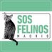 SOS Felinos Madrid (@sos_felinos) Twitter profile photo SOS Felinos Madrid (@sos_felinos) Twitter profile photo