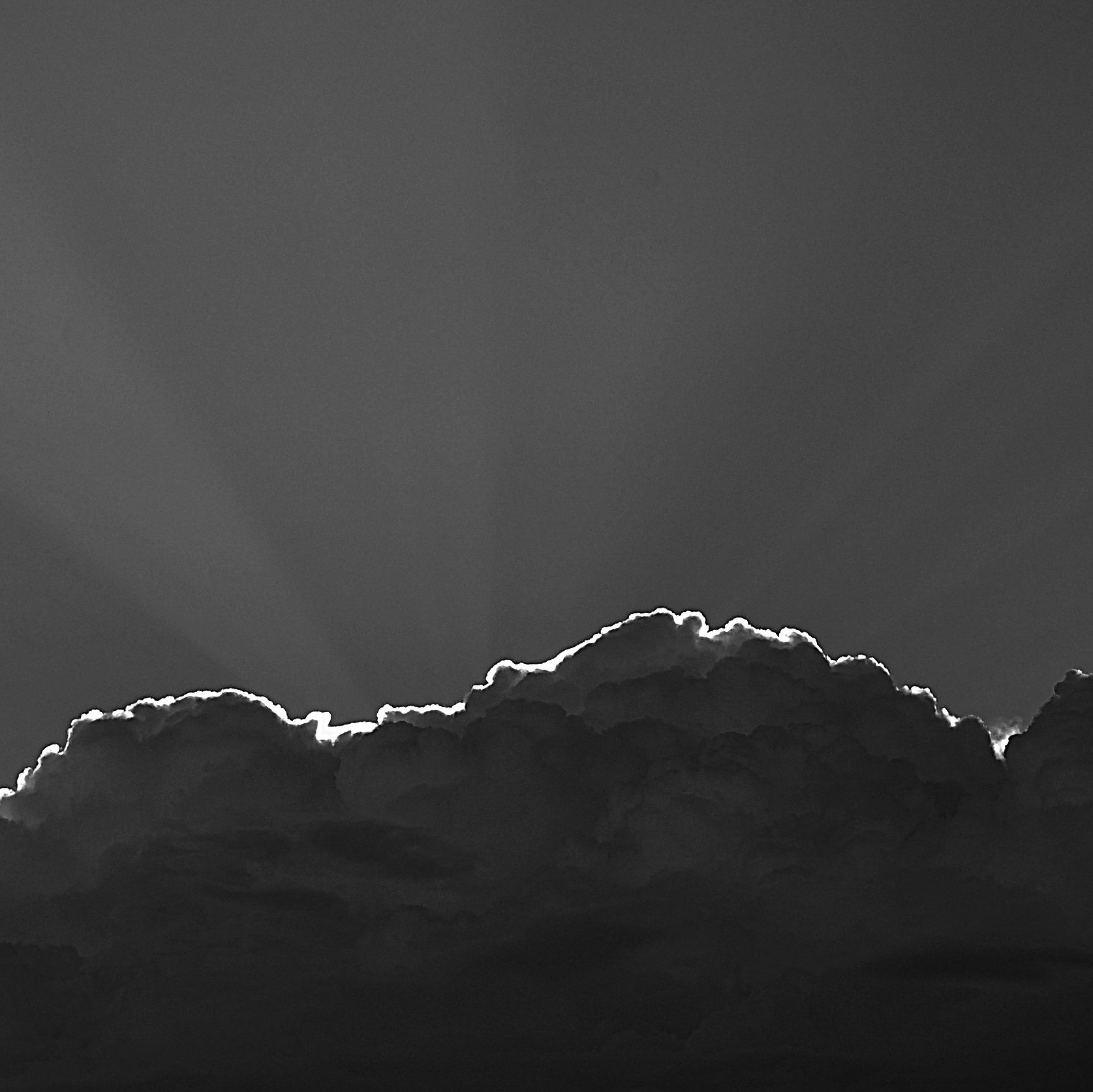 JUNOBrewing's profile picture. Brewery