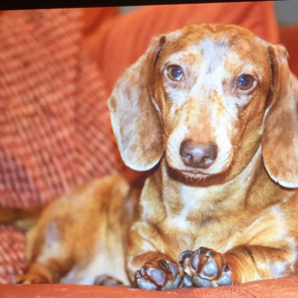 martinez_margie's profile picture. HS Principal; SR Evaluator at WGU; Certified Superintendent; Doctorate in Educational Administration and HR Development; Masters in Curriculum and Instruction