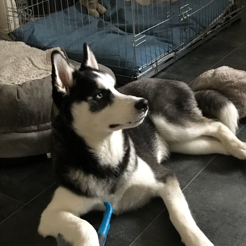 DeMaruschka's profile picture. 