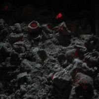 Papipap123's profile picture. Bangladesh