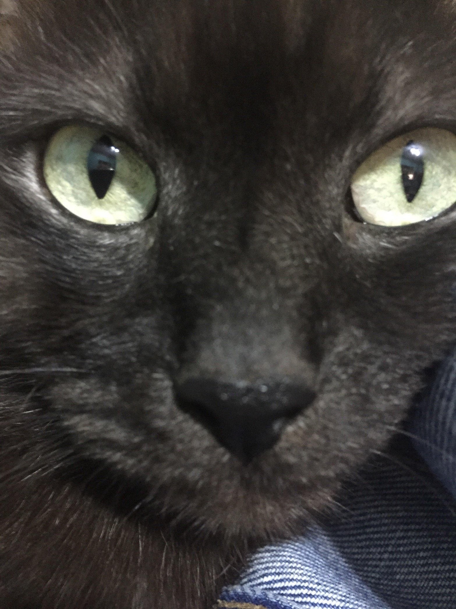 pogovorimmm's profile picture. 